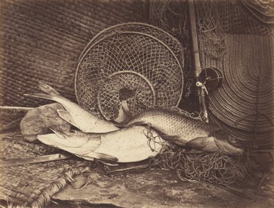 Still Life with Carp and Pike by Henry Bailey